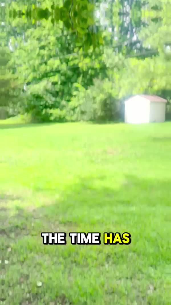 Brogan Chadwell outdoor family lifestyle UGC video — backyard summer content for brands